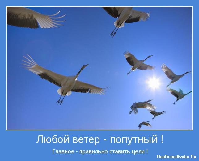 фотомотиватори