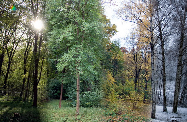 1 рік за 40 секунд