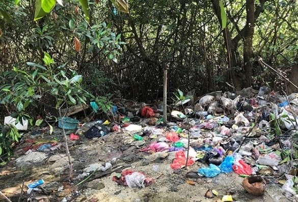 Дві звичайні дівчинки врятували цілий острів