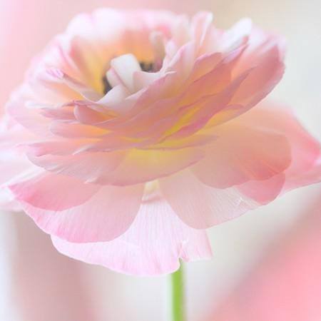 Арабська притча про любов