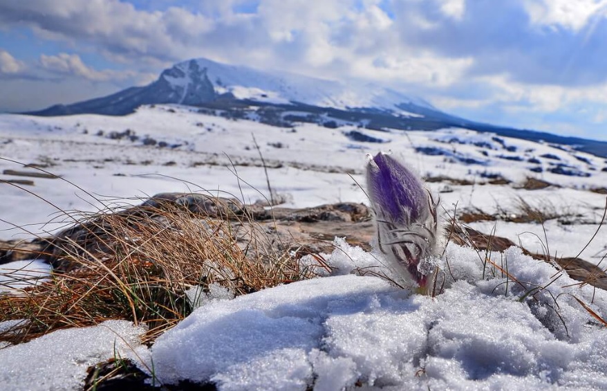 Дякую за життя