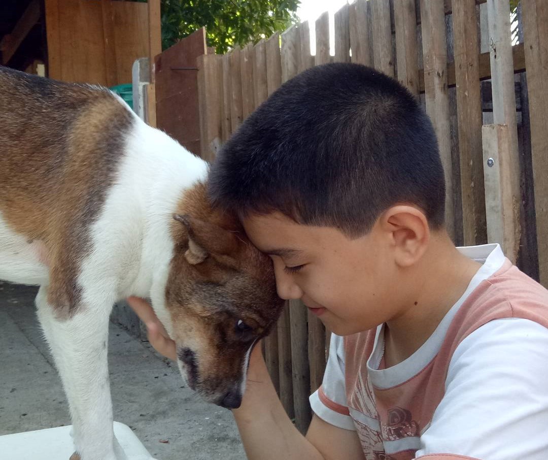 Хлопчик витрачав кишенькові гроші на бездомних собак і у 9 років відкрив притулок