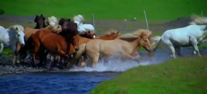 Медитативна мандрівка по світу