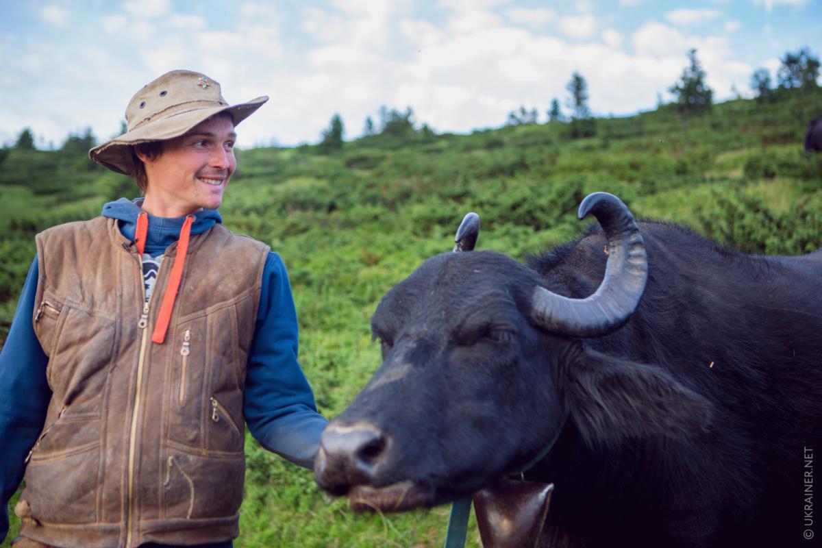 Мішель. Найкращий друг буйволів