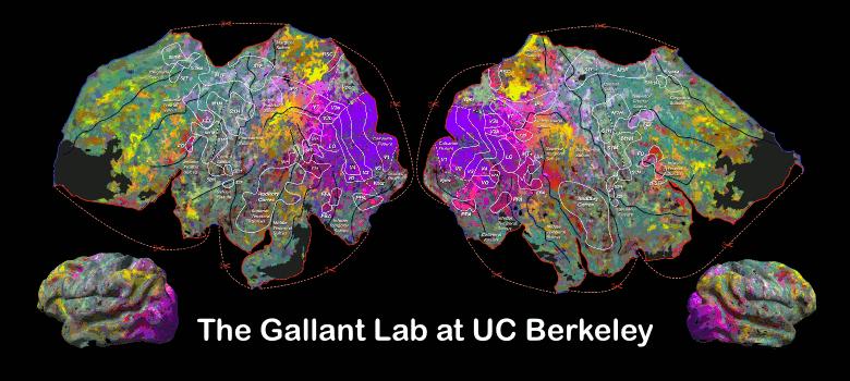 говорить і показує мозок