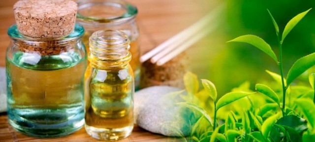 Олія Чайного дерева