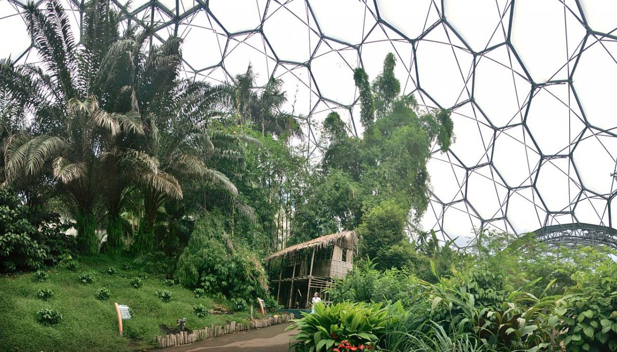 Тім Сміт - творець Едему