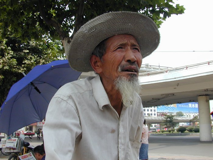 Велике серце Бай Фан Лі