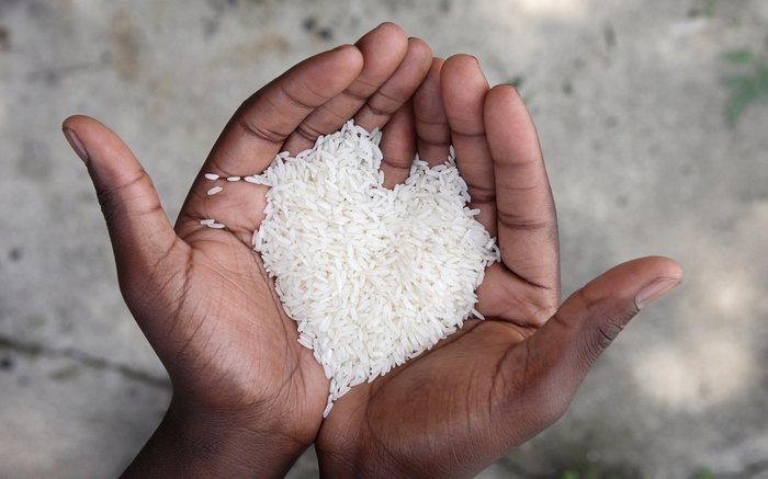 Велике серце Бай Фан Лі