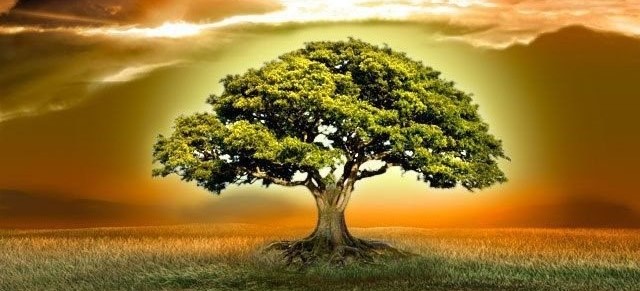 Як віднайти силу Роду