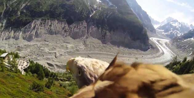 З висоти пташиного польоту