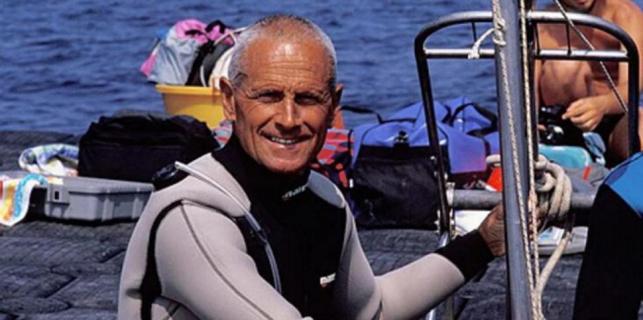 Зустріч під водою: дельфіни